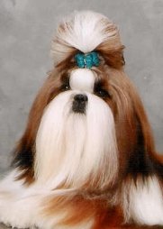 Jackprice_from_audreys_paradis