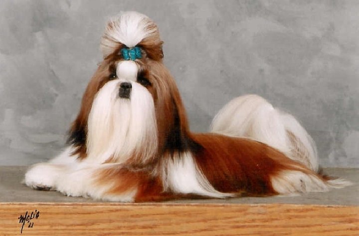 Jackprice_from_audreys_paradis