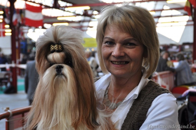 Gunfire_mysticwonderland_shihtzu_00006