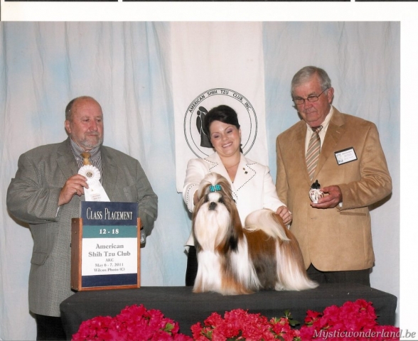 Jackprice_mysticwonderland_shihtzu_00012